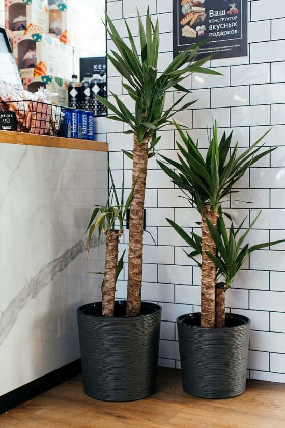 Кашпо Цилиндр ребристый (антрацит)_1