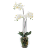 Орхидея Фаленопсис белая (иск.) с мхом, корнями, землёй 85см - Фото 1