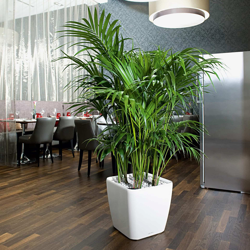 Кашпо Лечуза Квадро ЛС (белый)_2