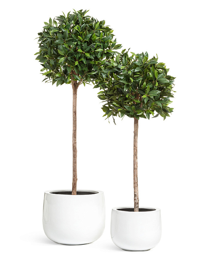 Кашпо Эффектори Глосс низкая широкая чаша белый глянцевый лак_2