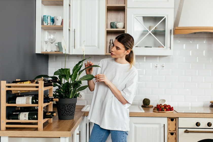 Кашпо Лепесток белый/белый_2