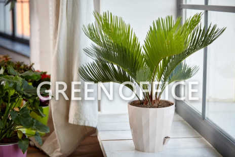 Кашпо Фрактал (белый) - Фото 4