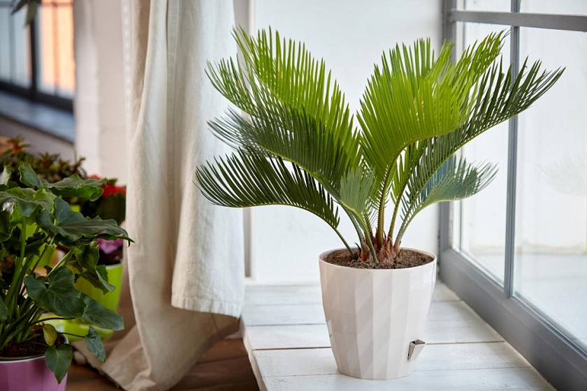 Кашпо Фрактал (белый)_2