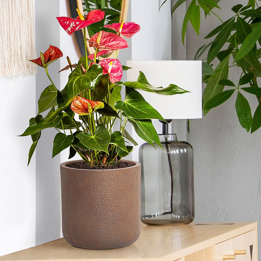 Кашпо Урбан Ваза кофе_