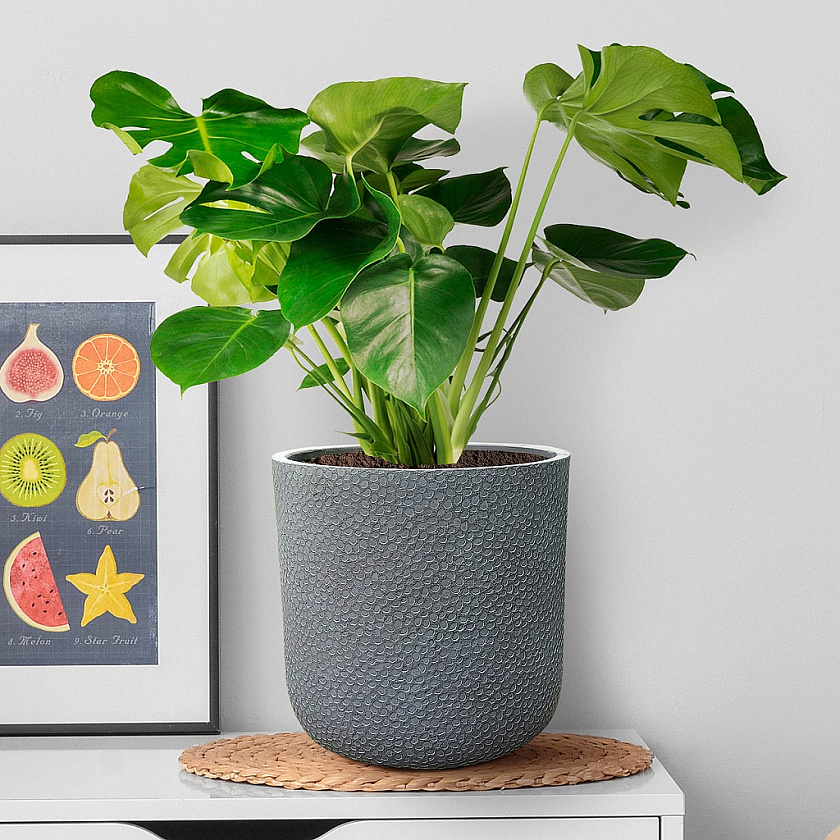 Кашпо Урбан Ваза антрацит_2