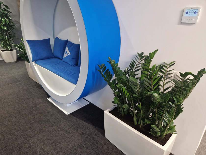 Композиция из замиакулькасов в кашпо Lechuza Cararo_3