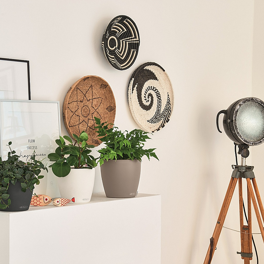 Кашпо Лечуза Классико Колор (светло-бежевое)_5