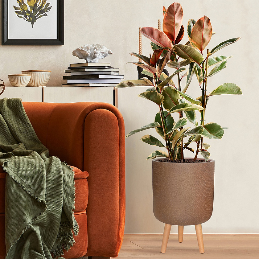 Кашпо Урбан Круглое с подставкой кофе_3