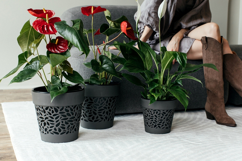 Кашпо Лепесток белый/белый_3