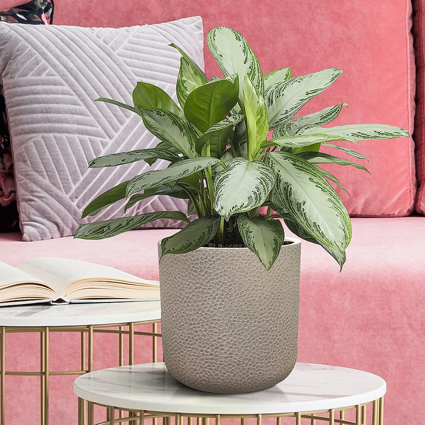 Кашпо Урбан Ваза серо-коричневое_2