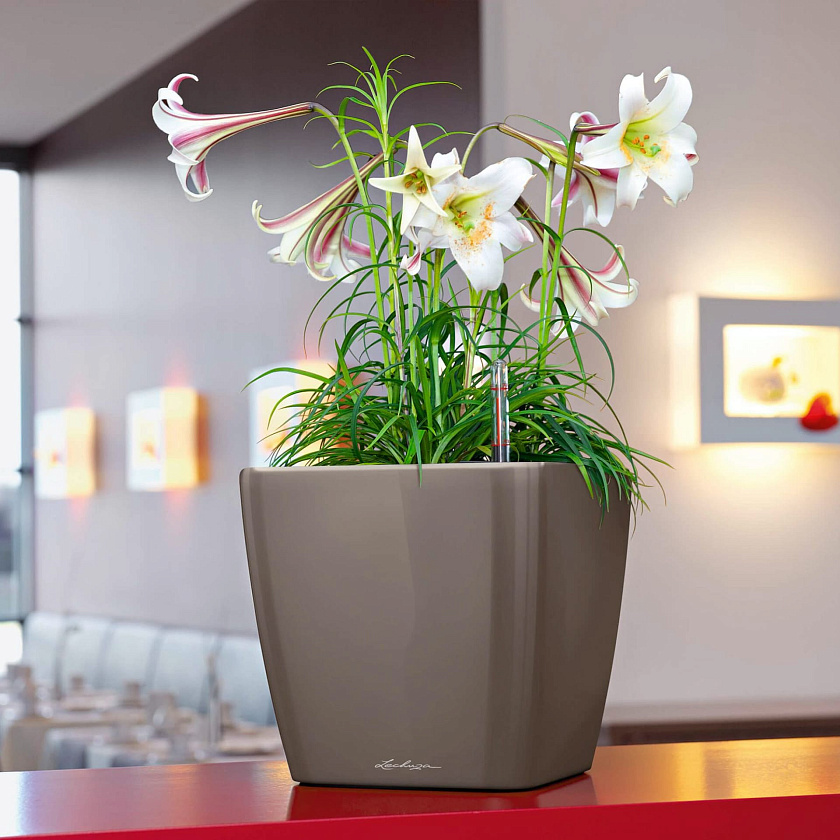 Кашпо Лечуза Квадро ЛС (серо-коричневый)_1