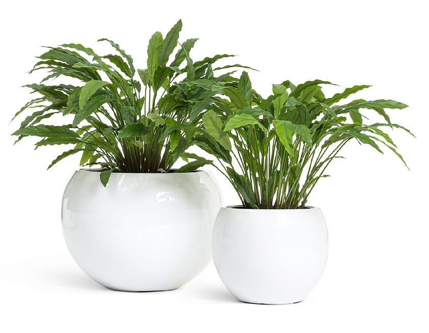 Кашпо Эффектори Глосс полусфера белый глянцевый лак_2