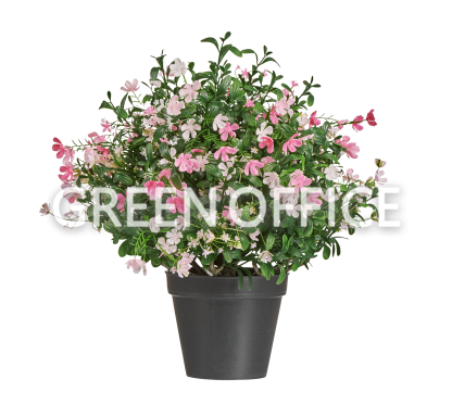 Альпийское разнотравье с нежно-розовыми и белыми цветами - Фото 4