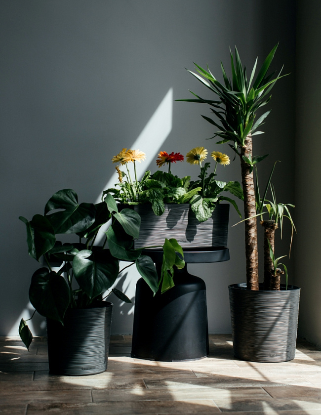 Кашпо Цилиндр ребристый (антрацит)_2