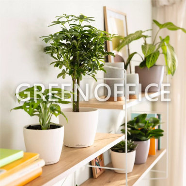 Кашпо Lechuza Classico Color DECO (оранжевый) - Фото 4