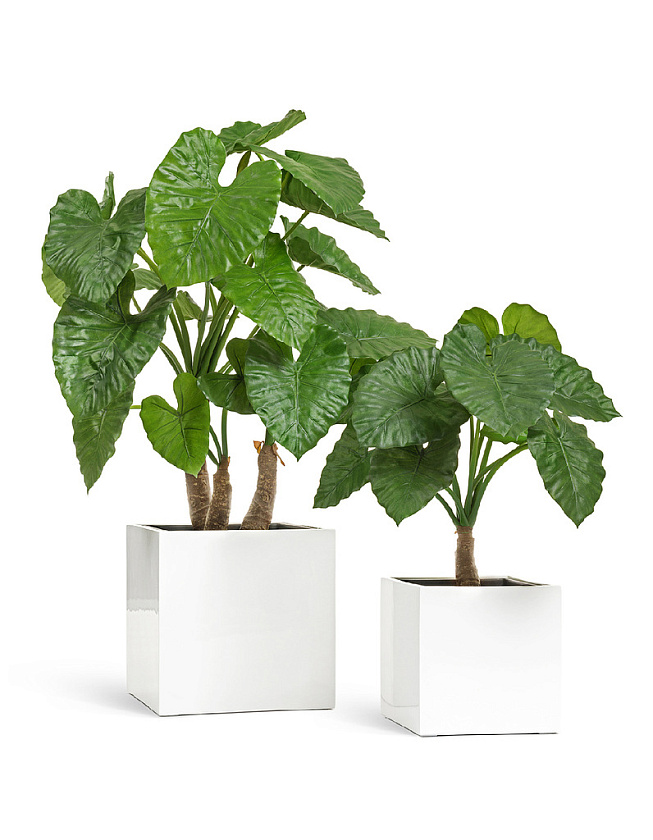 Кашпо Эффектори Глосс куб белый глянцевый лак_6