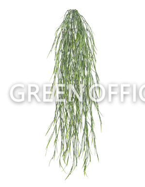 Виллоу серо-зеленый припыленный куст ампельный