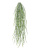 Виллоу серо-зеленый припыленный куст ампельный - Фото 1