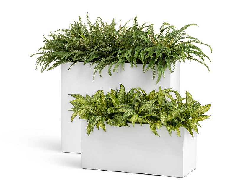 Кашпо Эффектори Глосс высокий дивайдер белый глянцевый лак_3