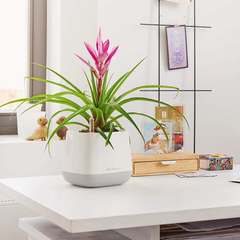 Кашпо Лечуза Юла (белый/серый)_1