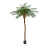 Финиковая пальма де Люкс - Фото 1
