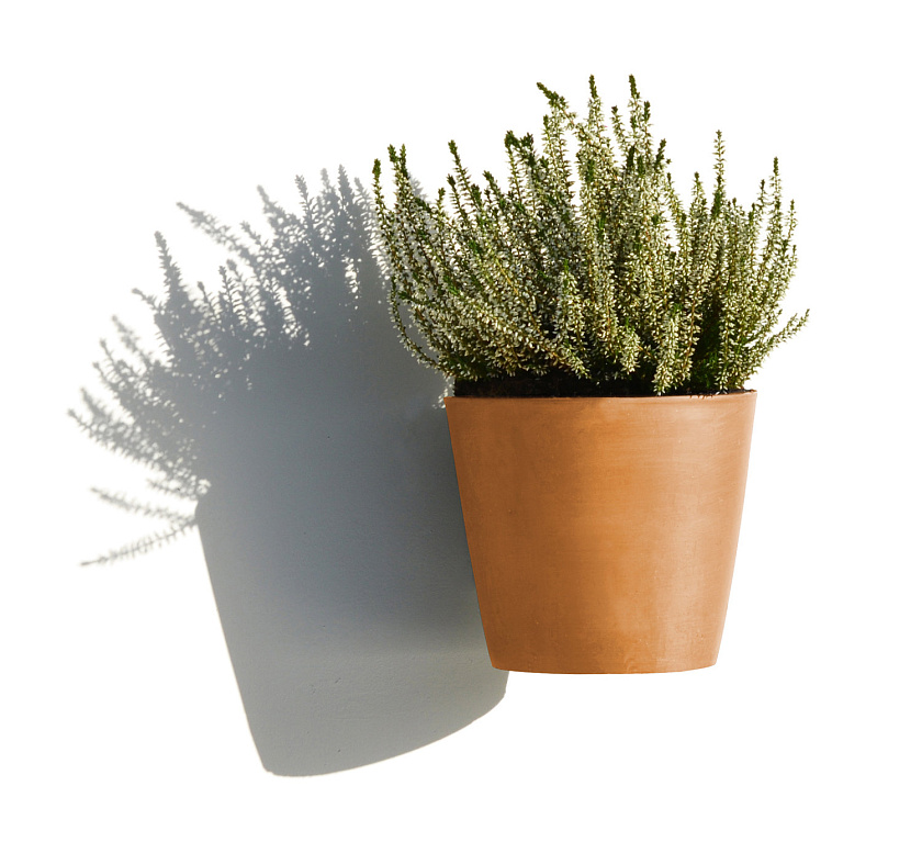 Кашпо Экопотс Амстердам настенное терракотовое_