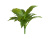 Спатифиллум-мини куст зелёный (Sensitive Botanic) - Фото 1