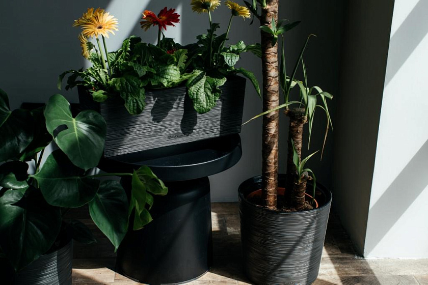 Кашпо Балкони ребристый (антрацит)_4