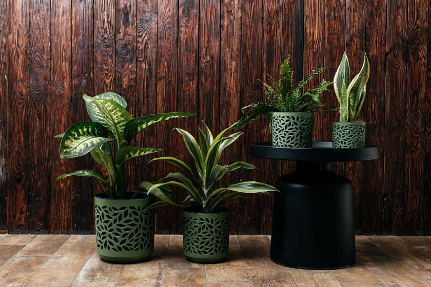 Кашпо Ливс (зеленый/антрацит)_1