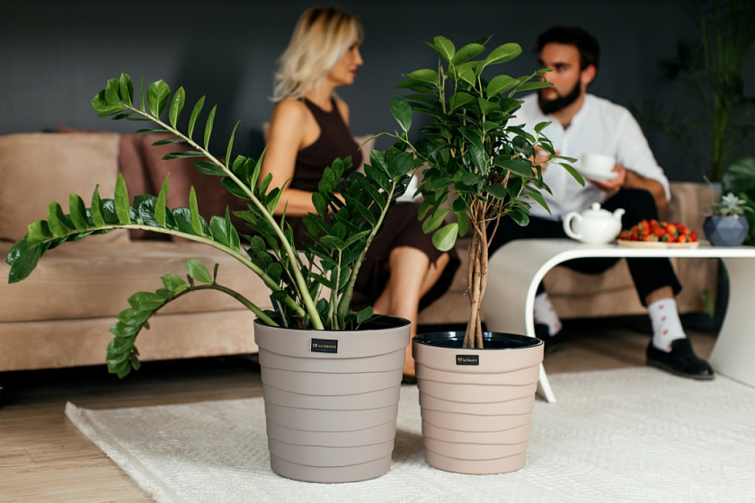 Кашпо Дюна со вставкой (фраппе)_1