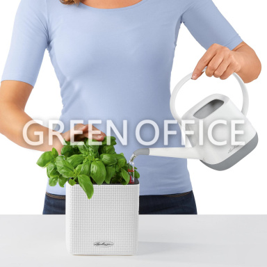 Green Wall Home Kit Color (белый) - Фото 2