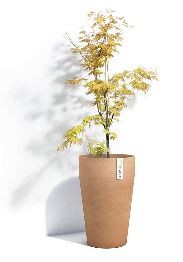 Кашпо Экопотс Санкара высокое терракотовое_