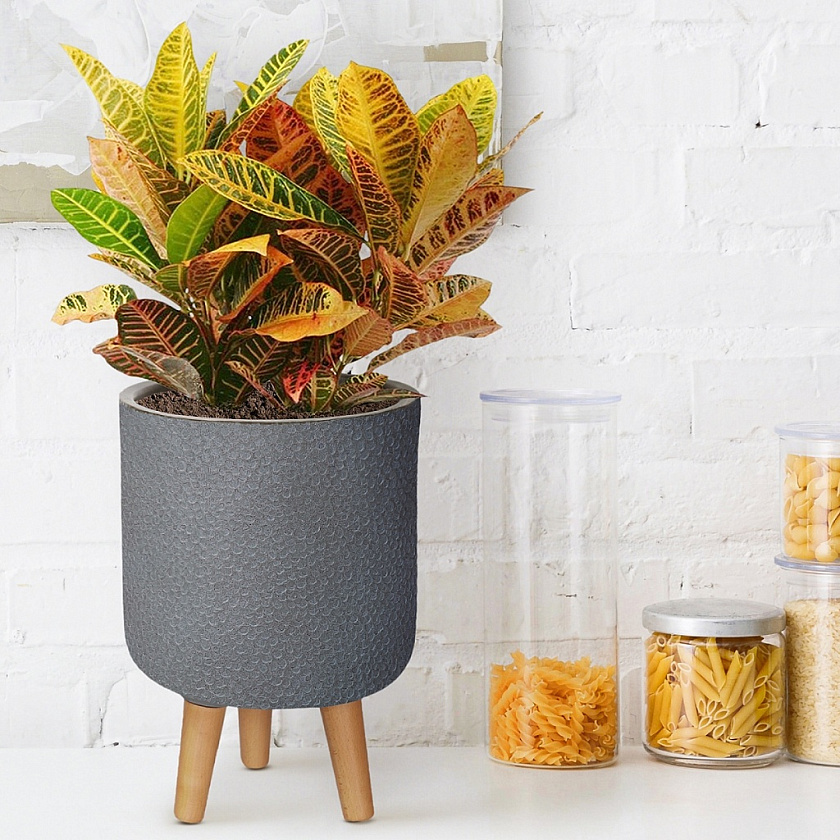 Кашпо Урбан Круглое с подставкой антрацит_