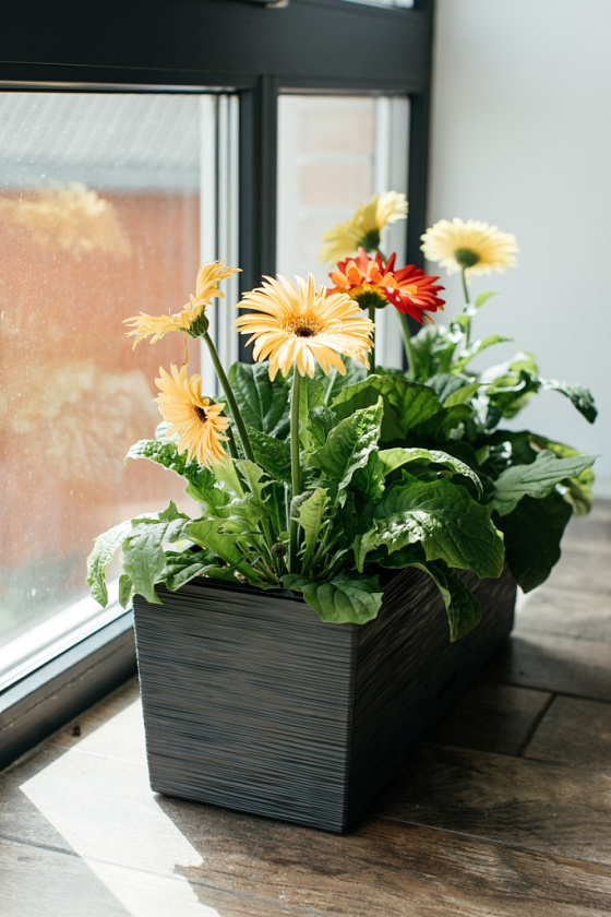 Кашпо Балкони ребристый (антрацит)_1