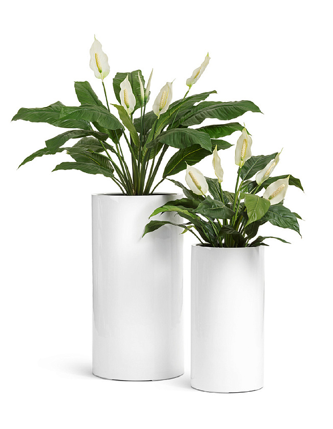 Кашпо Эффектори Глосс высокий цилиндр белый глянцевый лак_2