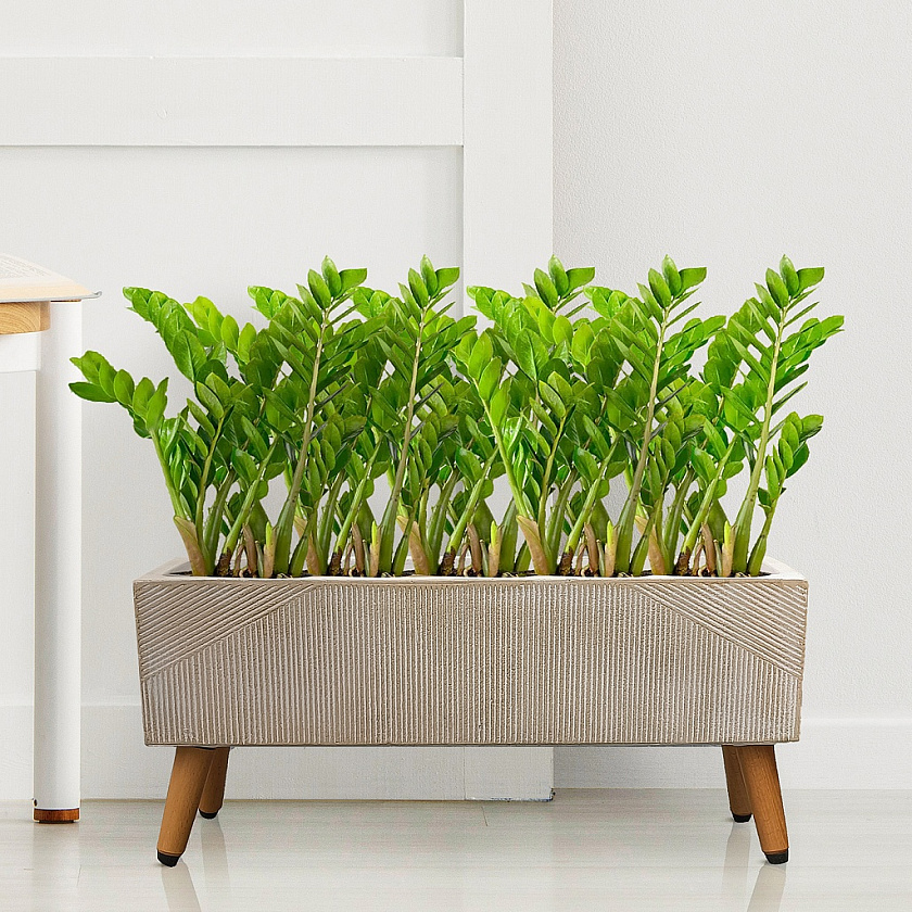 Кашпо Урбан Прямоугольное с подставкой бежевое_