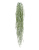 Флокед Виллоу серо-зеленый припыленный куст ампельный - Фото 1