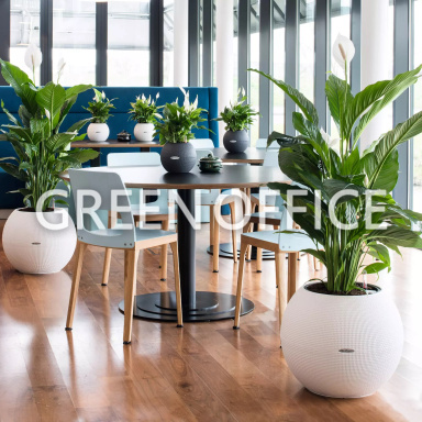 Кашпо Lechuza Puro Color 50 (серый) - Фото 6