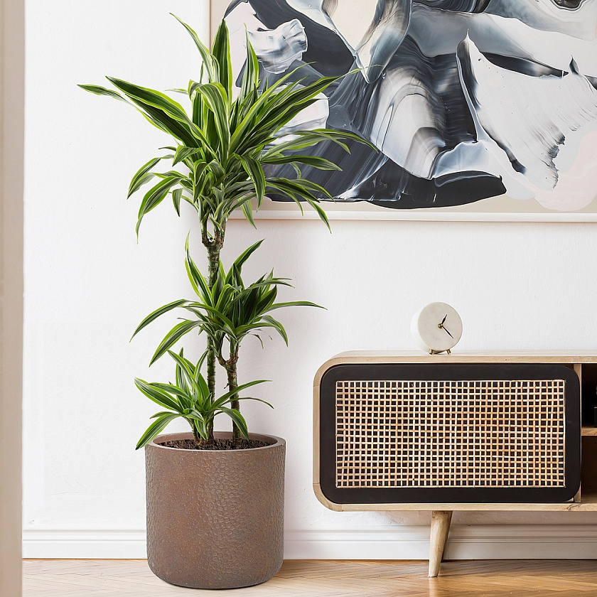 Кашпо Урбан Ваза кофе_1