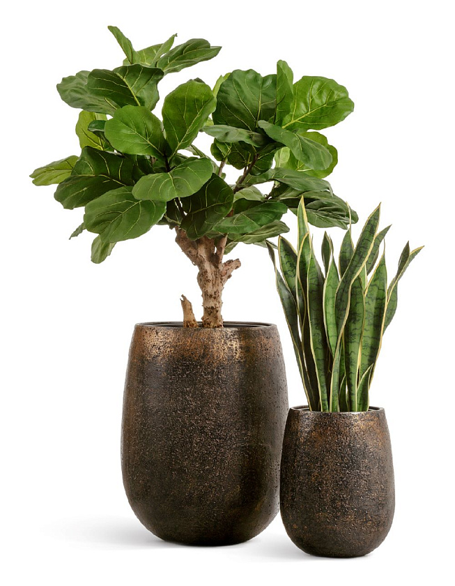 Кашпо Эффектори Металл Округлая чаша Раф c золотой патиной_4