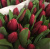Тюльпаны в ассортименте - Фото 7