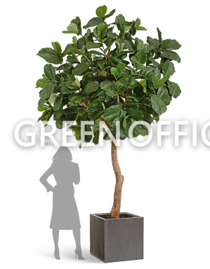 Кашпо Эффектори Бетон куб темно-серый бетон - Фото 7