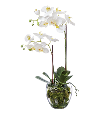 Орхидея Фаленопсис белая (иск.) с мхом, корнями, землёй 60см
