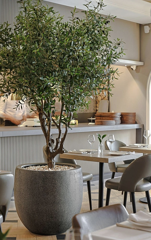 Кашпо Эффектори Стоун округлый конус темно-серый камень_