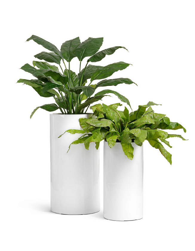 Кашпо Эффектори Глосс высокий цилиндр белый глянцевый лак_3