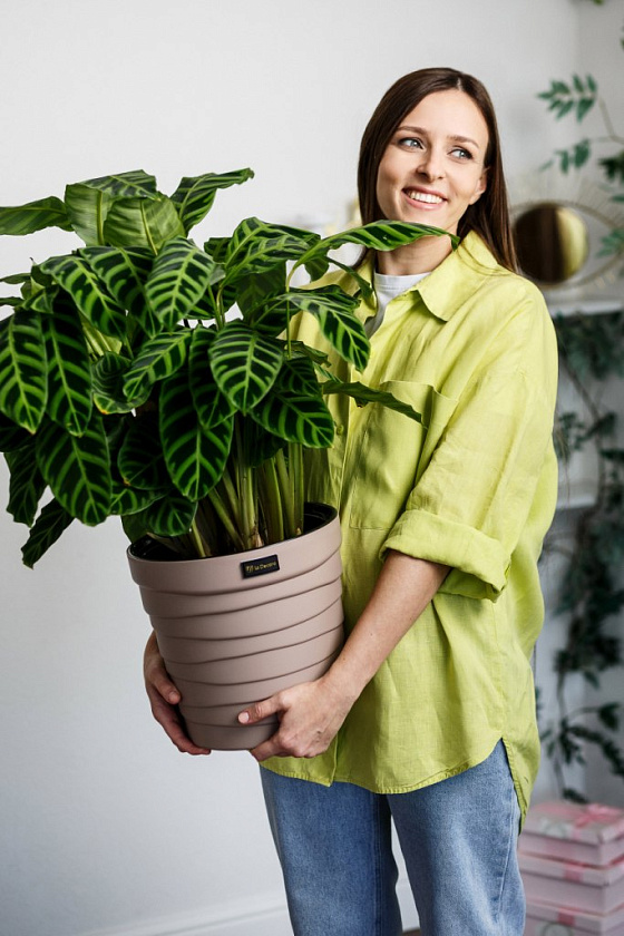 Кашпо Дюна со вставкой (мокачино)_2