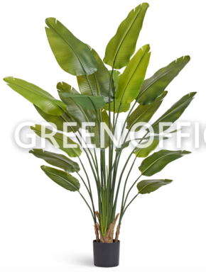 Стрелиция New Style с UV-защитой (Sensitive Botanic) - Фото 3