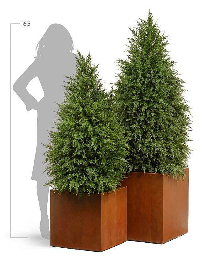 Кашпо Эффектори Кортен Стил Куб Кортеновская сталь Бархатистая окись_4