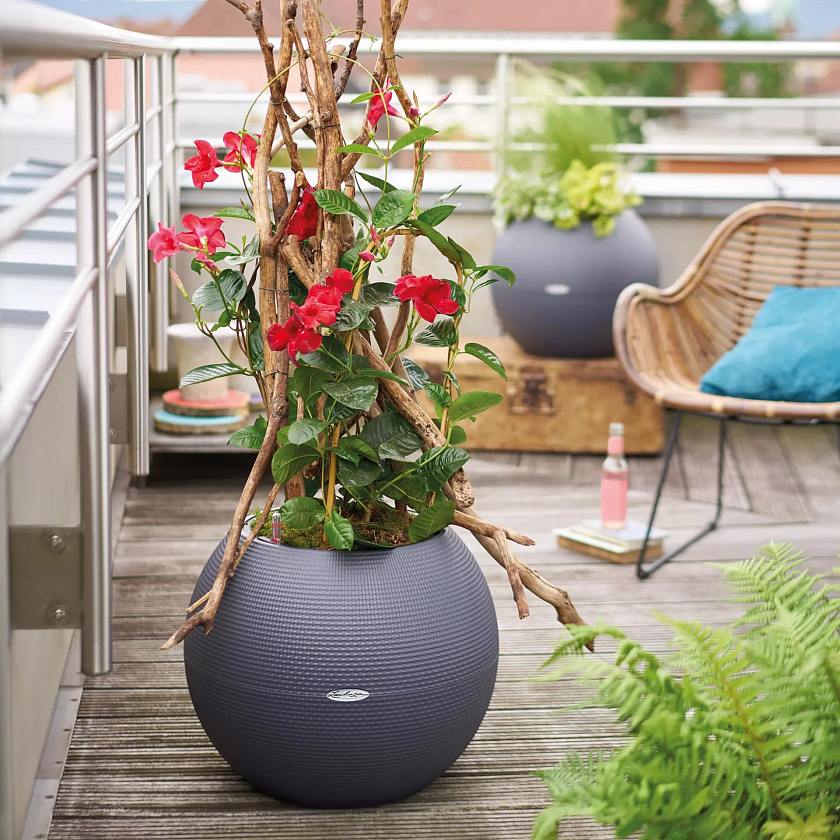 Кашпо Лечуза Пуро Колор 50 (серый)_3