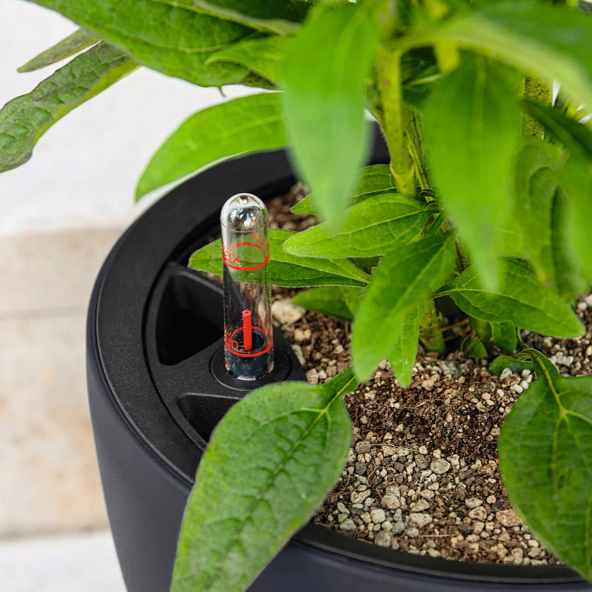 Кашпо Лечуза Классико Колор ЛС (бежевый)_2